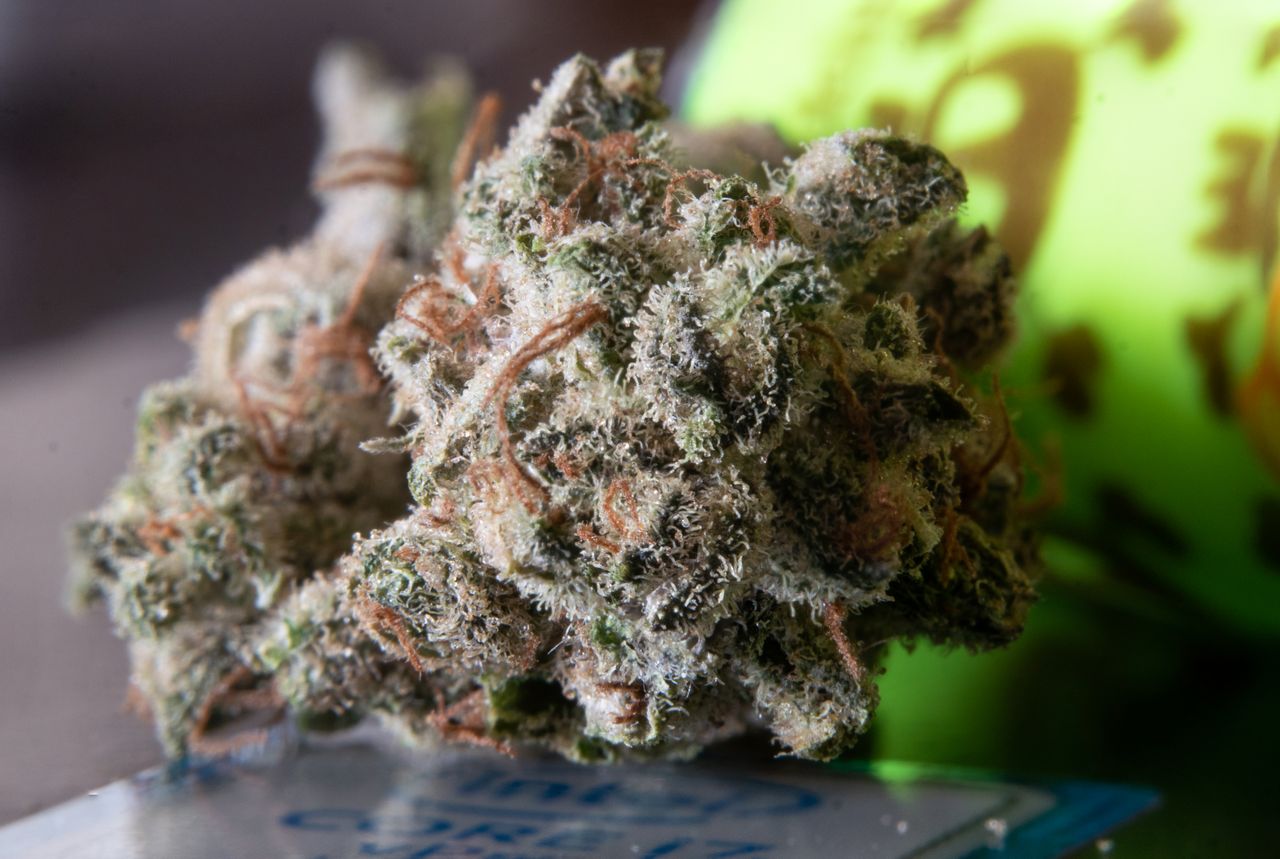 Macro photograph of a cannabis bud showcasing trichomes and detail.