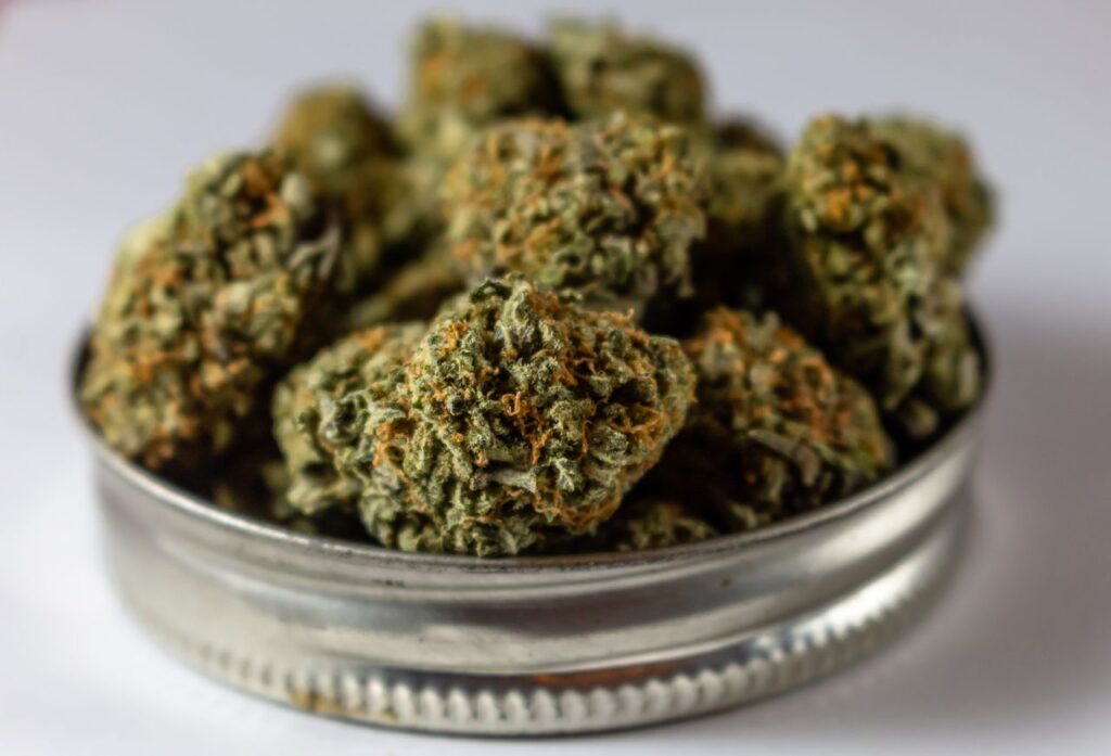 Macro shot of cannabis flowers on a metal lid showcasing texture and details.