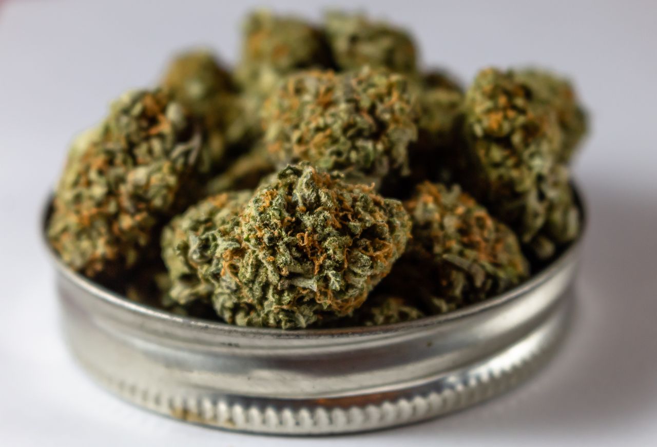 Macro shot of cannabis flowers on a metal lid showcasing texture and details.